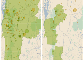 Vermont Atlas of Life Map of the Week: Paper Birches