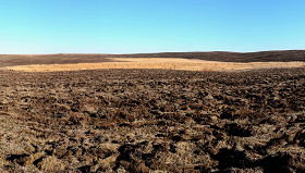 Access matters: closed fields?