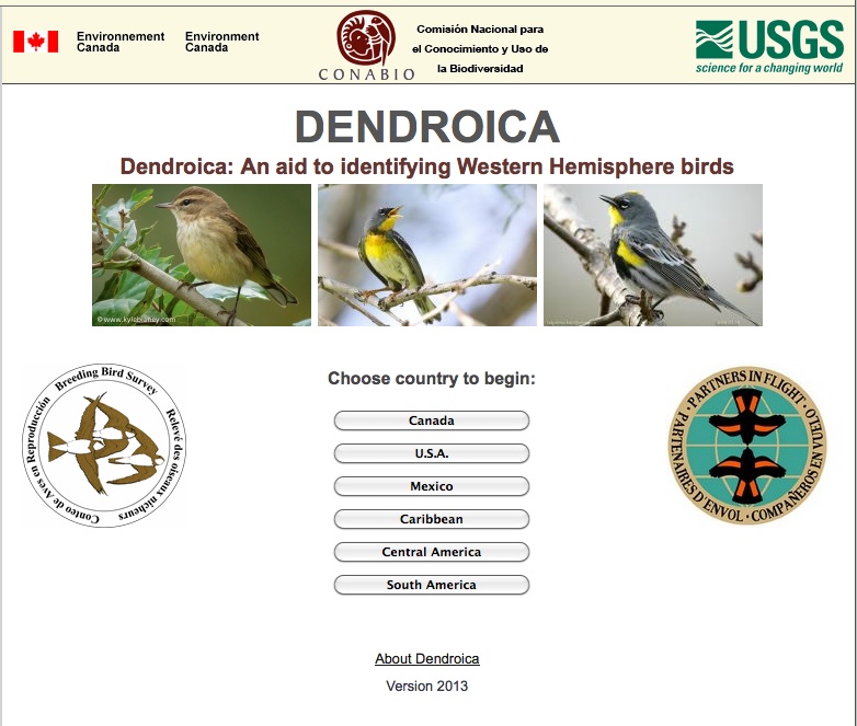 DendroicaOpen