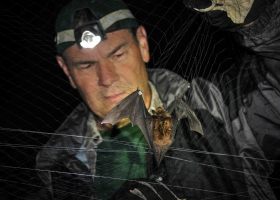 Vermont Biologists Continue in Race Against Time to Save Bats