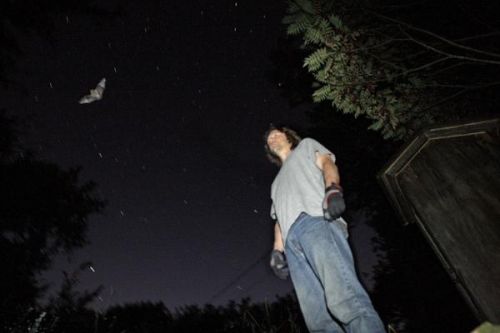 Wisconsin's first bat biologist Dave Redell initiated a statewide monitoring program in 2007 (Photo: Rick Wood)