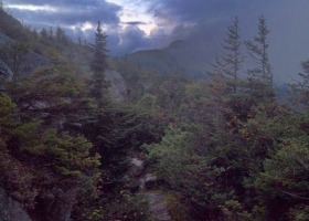 Bicknell's Thrush: a bird of the mountaintops...and beyond?