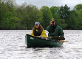 It's Birdathon Time!