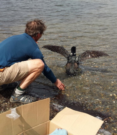 walden-crash-release-rhea-apicelli-2