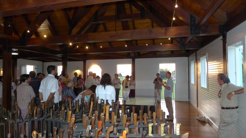 Chris Rimmer talks Bicknell's Thrush among the machetes, Hacienda La Esperanza, Puerto Rico. / Will Schmidt