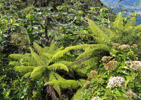 Friday the 13th Brings Good Luck on Puerto Rico