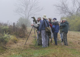 A Big Birding Year in Windsor County