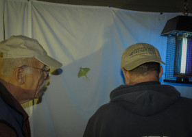 VAL Updating the Checklist of Vermont Moths