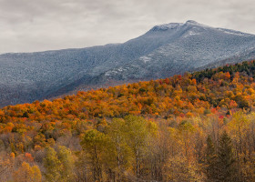 A Field Guide to October 2016