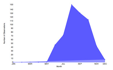 Clouded Sulphur flight season in Vermont from e-Butterfly.org data. Some are found in the Champlain Valley as late as early December. 