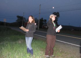 Help Us Discover Whip-poor-wills