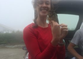 A Night (and Early Morning) on the Mountain