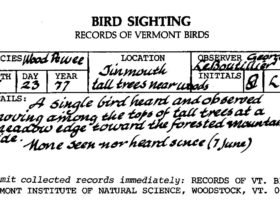 New Phoenix Project Mission Needs Virtual Volunteers