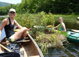 A Loon-ey Couple of Weeks