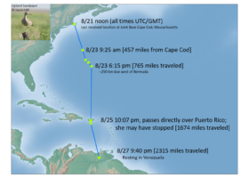 The trans-Atlantic flight of an Upland Sandpiper during autumn migration.