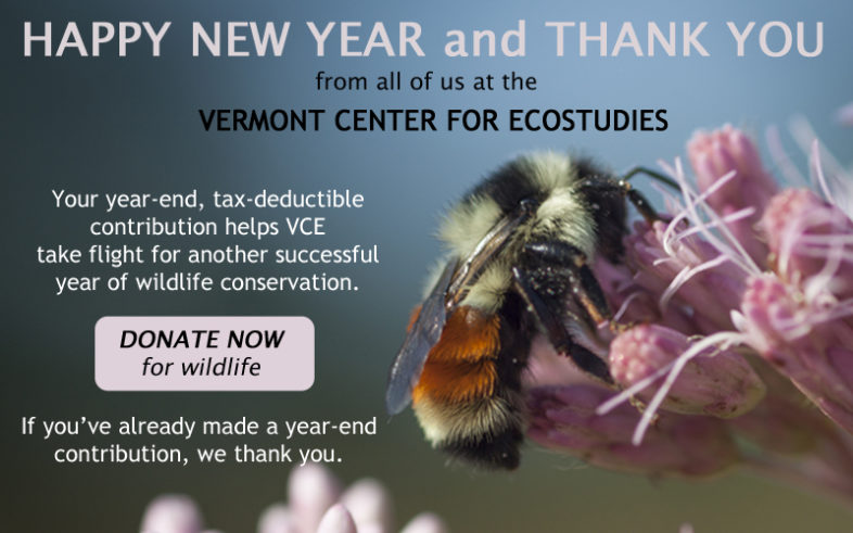 Happy New Year and thank you