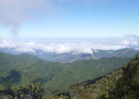 Cuba Next on VCE's Horizon