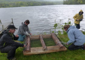 The Trials and Tribulations of the Lake Fairlee Loons