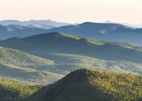 A Field Guide to May 2017