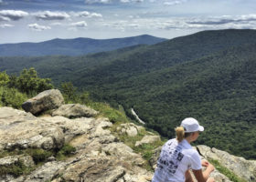 A Field Guide to July 2017