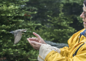 VCE's 26th Year on Mt. Mansfield Off to a Wet Start