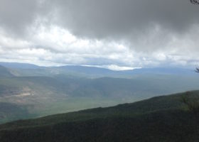 VCE begins migratory-bird conservation project in the Dominican Republic