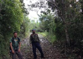 Seeking Puerto Rican Birds in the Wake of Hurricane Maria