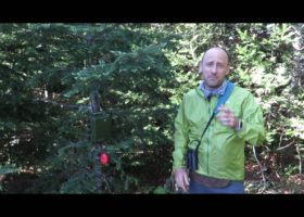 VCE Vlog: Field Update from the Great North Woods