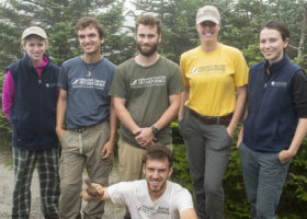 Mansfield Update: Hatch-years Predominate