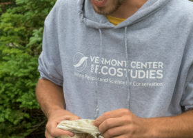 Mansfield Update: the Joys (and Pains) of Banding