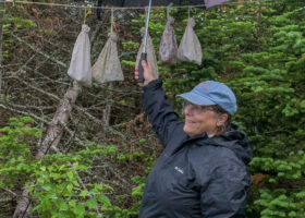 Mansfield Birds Rebound Modestly in Week 5