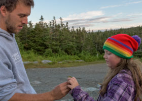 Mansfield Update: Avian Infiltrators from Northern Hardwoods