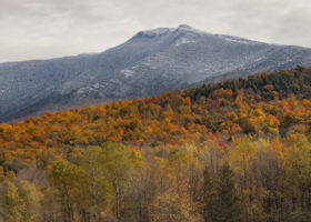 Field Guide to October 2020