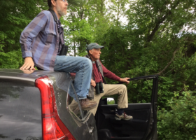 Team Pipit's Extraordinary Birding Feat: 150 species in all 14 Vermont Counties