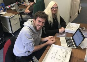 Vermont Wild Bee Survey Records Over 9,000 Bees in 2019