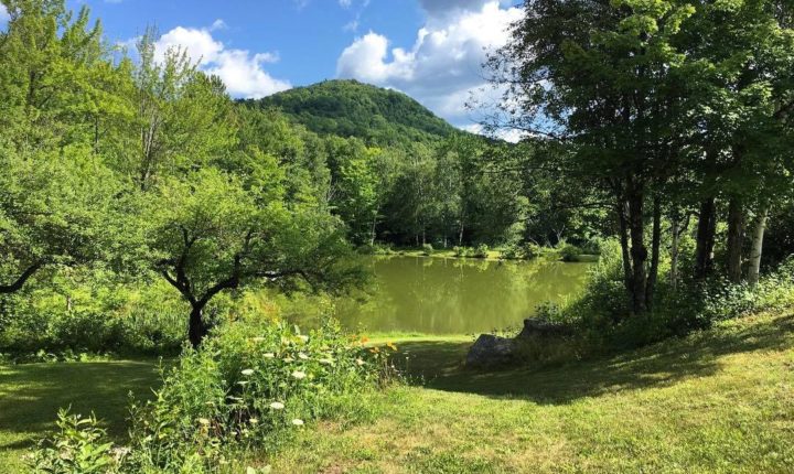 Another view of the pond. © Blueberry Hill Inn