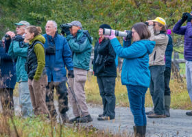 2019 Norwich Bird Quest Racks up 177 Species