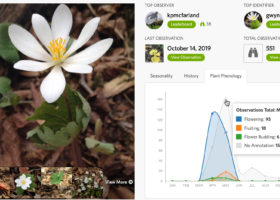 Join Our Spring Wildflower Phenology Annotation Blitz!