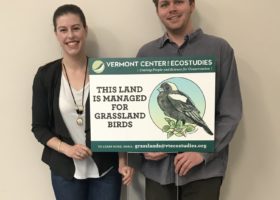 Ready and Waiting for Grassland Birds