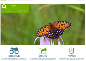 From Panama to the Arctic, a New eButterfly Takes Flight