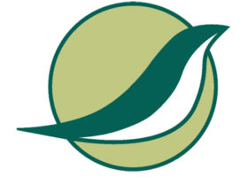 VCE's Commitment to Racial Justice