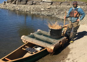 Vermont Loon Conservation Project Off to A Successful Start