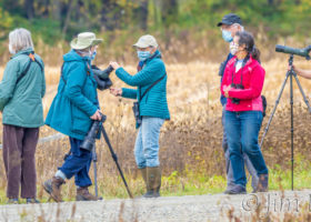 2020: an Unforgettable Year for Birding in Norwich