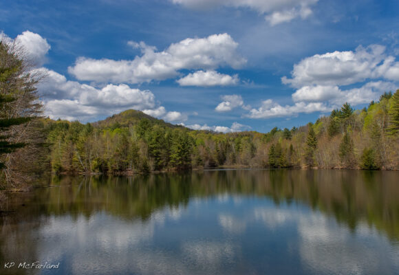 A lake in spring. &copy; © Kent McFarland