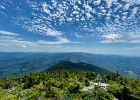 Field Guide to August 2021