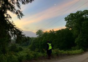 (At Least It’s Not) All Quiet on the Western Front: Eluded by Whip-poor-wills in Windham County