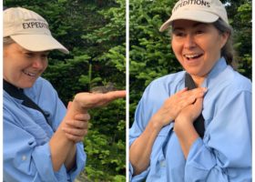 Seasonal Changes Emerging on Mt. Mansfield