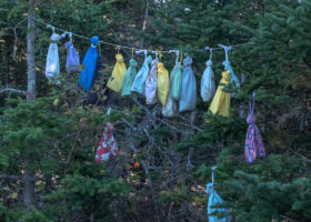 Kinglets Rain on Mansfield Ridgeline as VCE Wraps Season #30