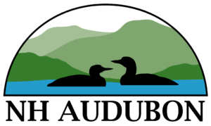 NH Audubon Logo