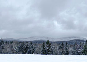 Field Guide to December 2021